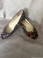 Top view of pair of leopard print flats