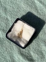 Charm in presentation box showing overall form