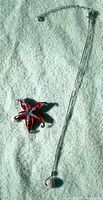 Starfish brooch and ball pendant necklace full view