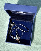 Necklace inside Swarovski box