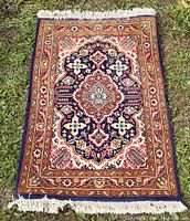 Full view of rug showing design, colours and fringe