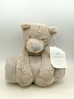 Front view of teddy bear plush holding rolled blanket with tag visible
