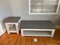 Coffee table and end table together showing overall design, color, and scale