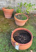 All three terracotta pots on ground showing sizes and forms