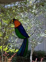 Long-tailed stained glass parrot suncatcher hanging outdoors