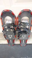 Pair of Blizzard snowshoes front view showing bindings and frame