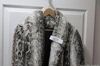 Coat upper portion showing collar, faux fur texture and lining