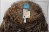 Close-up of collar area highlighting raccoon fur density and coloration