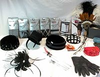 Group shot of tights packages, hats, fan, gloves, clutch, hat pins, feather clip