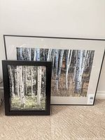 Both framed prints side by side showing relative sizes and black frames