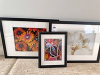 Three framed floral photographs leaning against wall