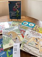 Group shot of several Dover coloring books showing covers and sealed copy