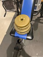Stack of four gold weight plates on blue bench seat