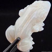 Front view of carved white opal gemstone held by tweezers
