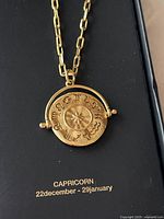 Gold-tone Capricorn medallion necklace close-up in box