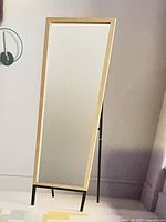 Full view of freestanding floor mirror showing front and frame