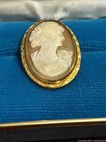 Front view of shell cameo brooch in case