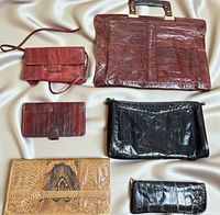 All six eel skin items arranged on silver fabric