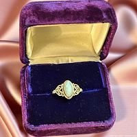 ring in velvet box showing overall design