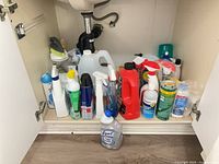 All cleaning products arranged under sink