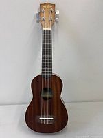 Front view of Kala ukulele showing full body and strings