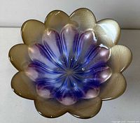 Top view showing flower-petal shape and purple-blue interior