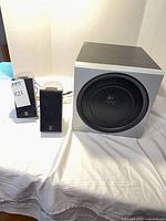 Subwoofer and two satellite speakers displayed together