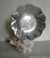 Top view of scalloped sterling dish on coral prop