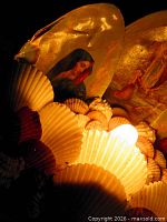 close-up of illuminated seashell lamp showing shell texture and Mary image