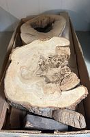 Box with live-edge hardwood slices and slabs visible