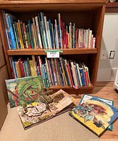 Two shelves filled with assorted children’s books