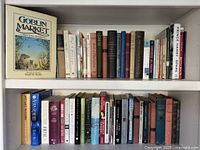 Two shelves filled with vintage books, front view