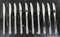 Ten stainless steel dinner knives front view