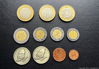 Fronts of all 11 coins laid out in rows