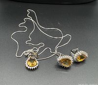 Entire set laid out: chain with pendant and both earrings