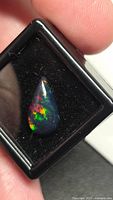 Pear cabochon black opal showing multicolor play-of-color in display box