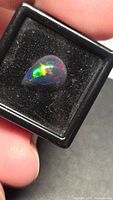 Pear-shaped opal cabochon in display box showing play-of-color