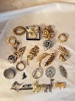 All brooches laid out showing variety and size range