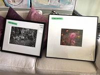 Both framed photographs resting on couch