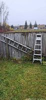 Both ladders leaning against fence showing overall size