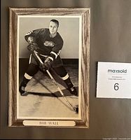 Front view of Beehive Group 3 Bob Wall photo showing image, nameplate and condition