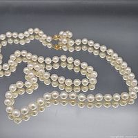 Full view of entire single strand pearl necklace laid out showing pearls and clasp