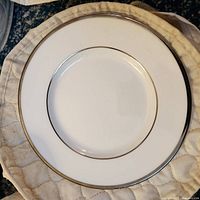 Front view of a plate showing white surface and platinum rim