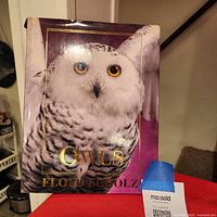 Front view of the book showing snowy owl cover and title