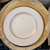Front view of one plate in protective sleeve showing gold rim and white center