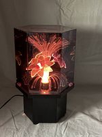 Lamp lit showing fibre optic flowers and colour effect