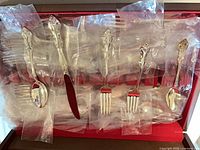 Flatware pieces in plastic sleeves within red case lid view