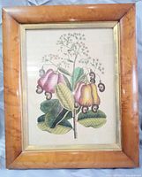 Front view of framed cashew tree artwork