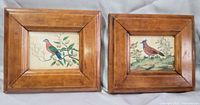 Both framed bird miniatures side by side showing overall condition and frame color
