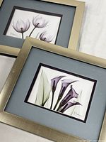 Both matching framed X-ray floral prints showing frames, mats, and images